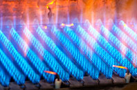 Elrig gas fired boilers